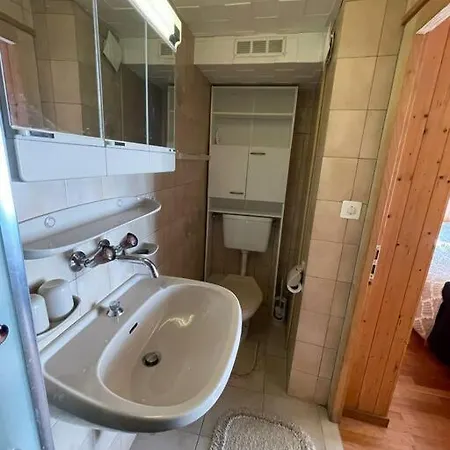 Chalet Le Domino - Proche Des Pistes Et Des Bains Ovronnaz