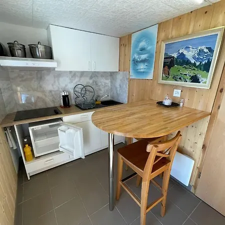 Apartment Chalet Le Domino - Proche Des Pistes Et Des Bains